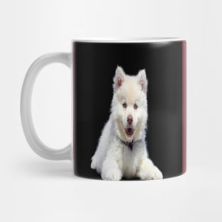 White dog Mug